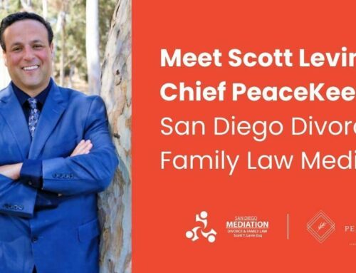 Meet Scott Levin Chief PeaceKeeper™ of San Diego Divorce & Family Law Mediation