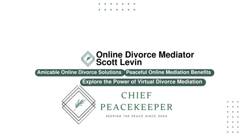 Online Divorce Mediator Scott Levin