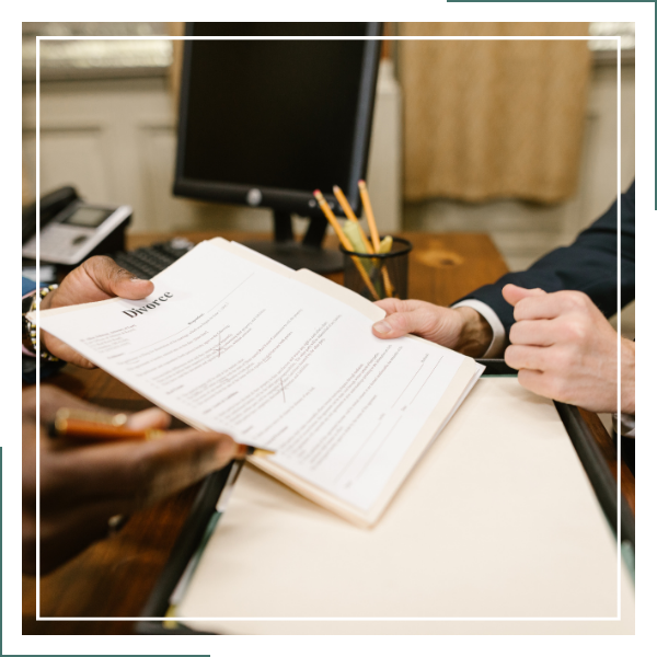 financial mediation